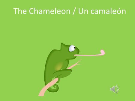 The Chameleon / Un camaleón The Chameleon / La camaleón.