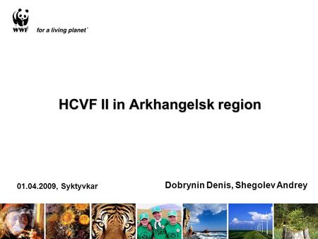 HCVF II in Arkhangelsk region 01.04.2009, Syktyvkar Dobrynin Denis, Shegolev Andrey.