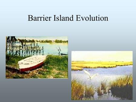 Barrier Island Evolution. Beach Diagram Introduction Three main theories of barrier island formation Other theories-plate tectonics Barrier island migration.