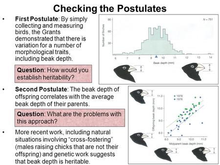 Checking the Postulates