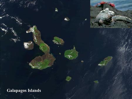 Galapagos Islands.