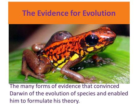 The Evidence for Evolution The many forms of evidence that convinced Darwin of the evolution of species and enabled him to formulate his theory.