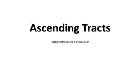 Ascending Tracts Kassia Hitchcock and Katy Davidson.