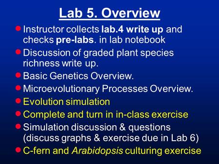 Lab 5. Overview  Instructor collects lab.4 write up and checks pre-labs. in lab notebook  Discussion of graded plant species richness write up.  Basic.