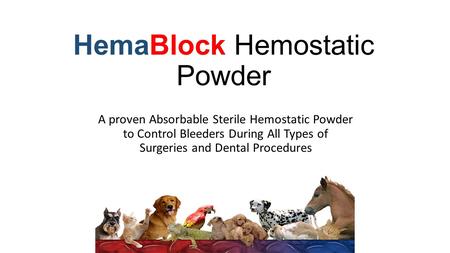 HemaBlock Hemostatic Powder