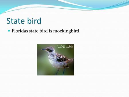 State bird Floridas state bird is mockingbird Orange blossom Floridas state flower is orange blossom.
