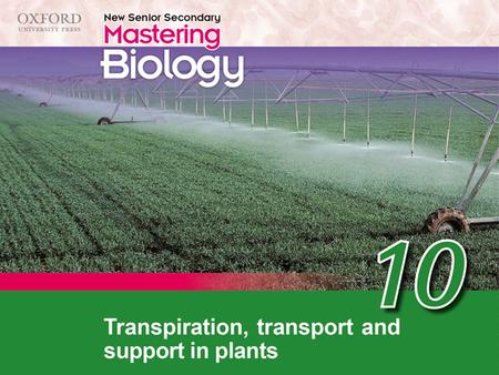Think about… 10.1 Transpiration 10.2 Transport in flowering plants Support in plants Recall ‘Think about…’ Summary concept map.