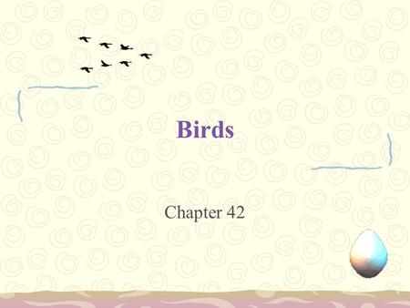 Birds Chapter 42.