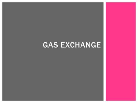 GAS EXCHANGE.  Found in insects TRACHEA SYSTEM  Found in insects  Hollow tubes throughout the body supplying oxygen – trachea TRACHEA SYSTEM.