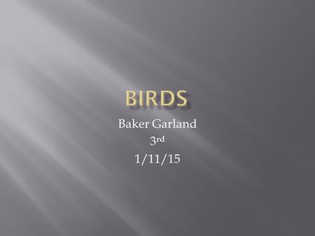 Baker Garland 3 rd 1/11/15.  When you walk outside you usually hear birds. It would be strange if we didn’t hear them. This power point will tell about.