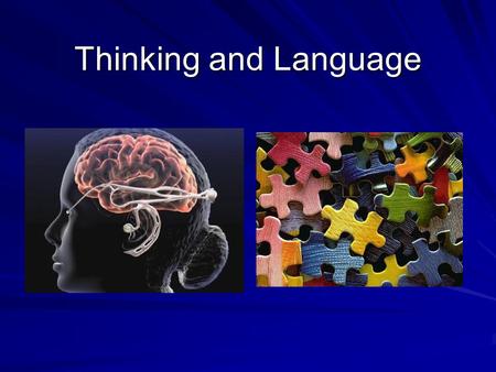Thinking and Language. Organizing Our Thoughts…. ( Making cognitive sense out of our world…) CognitionConcept Category Hierarchies We form concepts by…