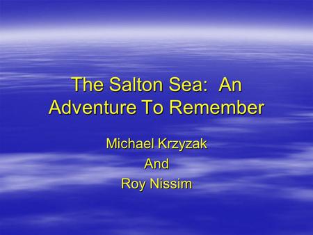 The Salton Sea: An Adventure To Remember Michael Krzyzak And Roy Nissim.