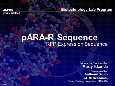 PARA-R Sequence RFP Expression Sequence Biotechnology Lab Program Laboratory Protocols by: Marty Ikkanda Powerpoint by: Anthony Daulo Kristi Schramm Pierce.