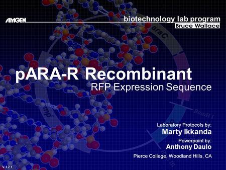 PARA-R Recombinant RFP Expression Sequence biotechnology lab program Laboratory Protocols by: Marty Ikkanda Powerpoint by: Anthony Daulo Pierce College,