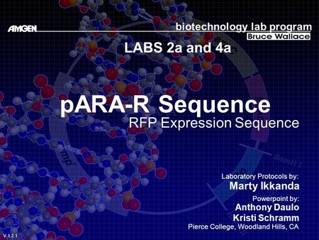 pARA-R Sequence LABS 2a and 4a RFP Expression Sequence