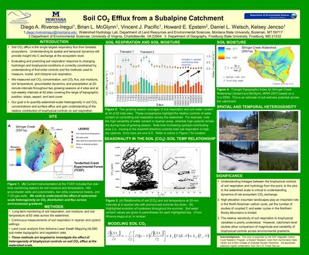 Soil CO 2 Efflux from a Subalpine Catchment Diego A. Riveros-Iregui 1, Brian L. McGlynn 1, Vincent J. Pacific 1, Howard E. Epstein 2, Daniel L. Welsch,