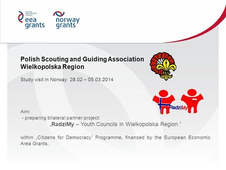 Aim: - preparing bilateral partner project: „RadziMy – Youth Councils in Wielkopolska Region.” within „Citizens for Democracy” Programme, financed by the.