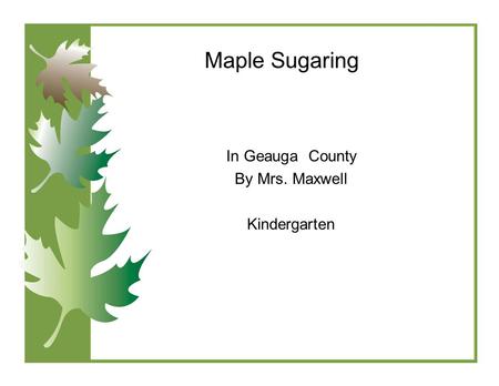 Maple Sugaring In Geauga County By Mrs. Maxwell Kindergarten.
