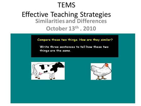 TEMS Effective Teaching Strategies Similarities and Differences October 13 th, 2010.