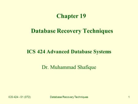 Chapter 19 Database Recovery Techniques