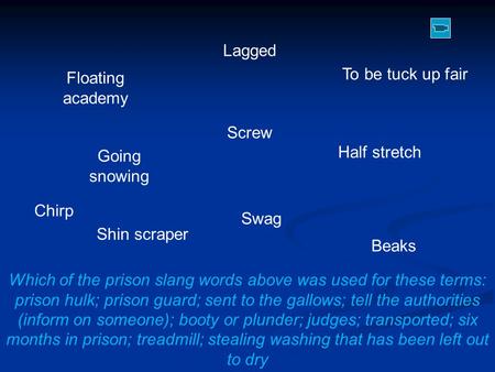 Which of the prison slang words above was used for these terms: prison hulk; prison guard; sent to the gallows; tell the authorities (inform on someone);