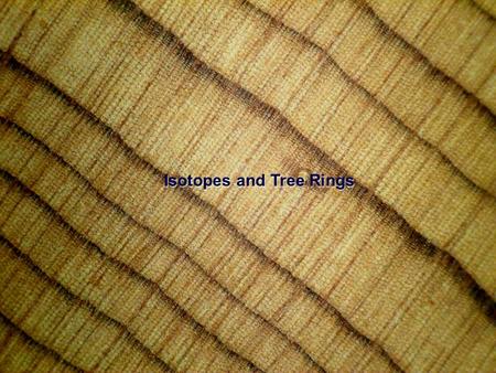 Isotopes and Tree Rings. Isotopes in Tree Rings Environmental processes captured in tree rings can be embodied either physically or chemically. Chemical.