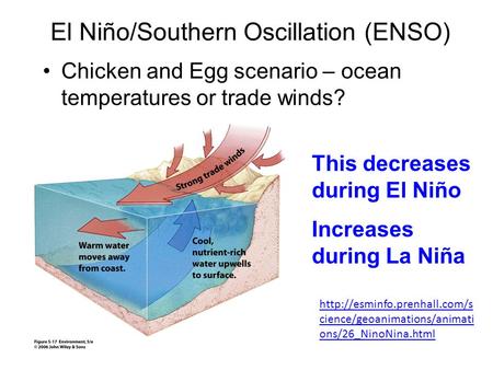 El Niño/Southern Oscillation (ENSO) Chicken and Egg scenario – ocean temperatures or trade winds? This decreases during El Niño Increases during La Niña.