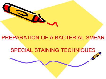 PREPARATION OF A BACTERIAL SMEAR SPECIAL STAINING TECHNIQUES