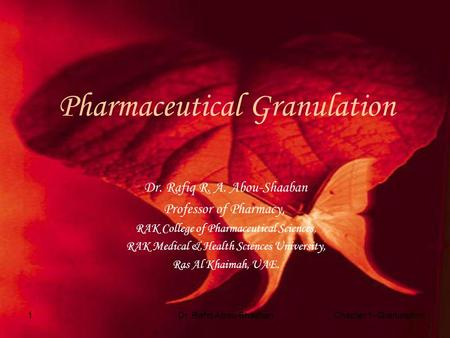 Pharmaceutical Granulation