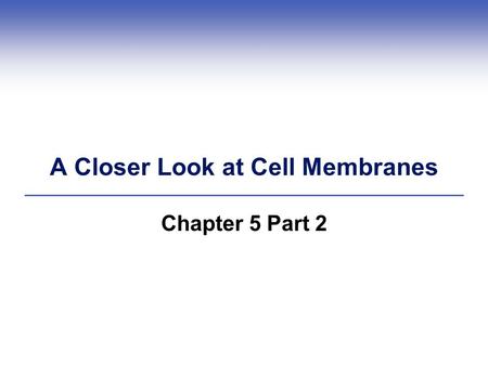 A Closer Look at Cell Membranes Chapter 5 Part 2.