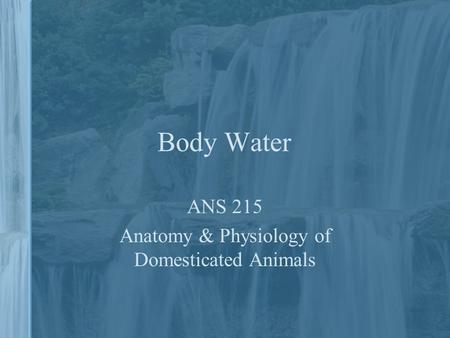 Body Water ANS 215 Anatomy & Physiology of Domesticated Animals.