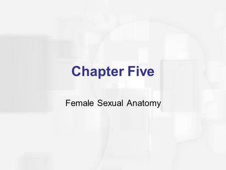 Chapter Five Female Sexual Anatomy.