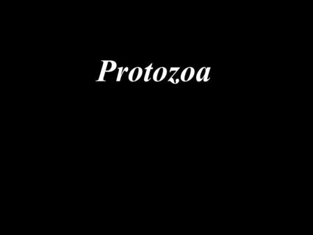 Protozoa. Protist- general term that does not distinguish between plant-like and animal- like unicells.Protist- general term that does not distinguish.