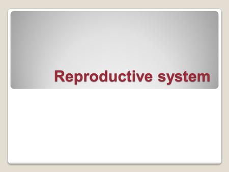 Reproductive system.