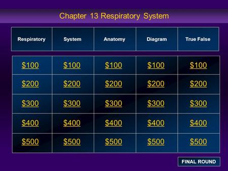 Chapter 13 Respiratory System $100 $200 $300 $400 $500 $100$100$100 $200 $300 $400 $500 RespiratorySystemAnatomyDiagram True False FINAL ROUND.