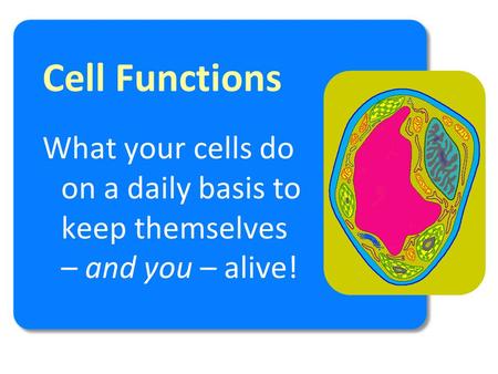 Cell Functions What your cells do on a daily basis to keep themselves – and you – alive!