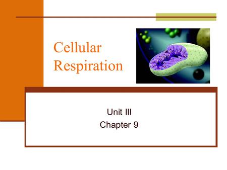 Cellular Respiration Unit III Chapter 9.