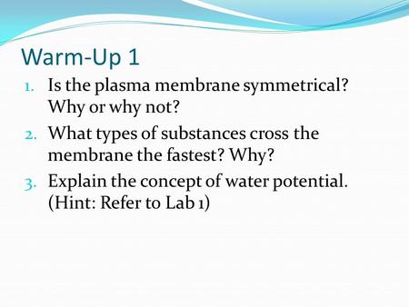 Warm-Up 1 Is the plasma membrane symmetrical? Why or why not?