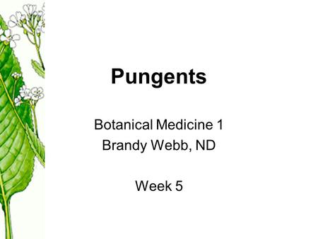 Pungents Botanical Medicine 1 Brandy Webb, ND Week 5.