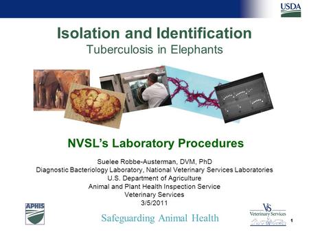 Safeguarding Animal Health Isolation and Identification Tuberculosis in Elephants Suelee Robbe-Austerman, DVM, PhD Diagnostic Bacteriology Laboratory,