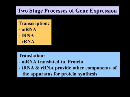 Two Stage Processes of Gene Expression Transcription: - mRNA - tRNA - rRNA Translation: - mRNA translated to Protein - tRNA & rRNA provide other components.