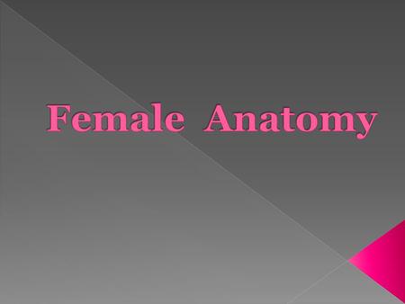  Female Reproductive organ that produces eggs and the hormone estrogen and progesterone.