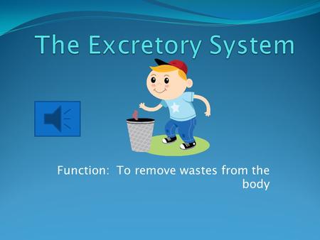 Function: To remove wastes from the body Digestive Organs Large Intestine: It reabsorbs water from indigestable food and then expels it from the body.
