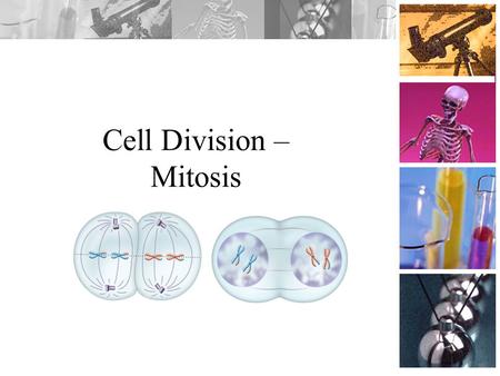 Cell Division – Mitosis.  As the cell grows, its volume increases much more rapidly than the surface area.  The cell might have difficulty supplying.