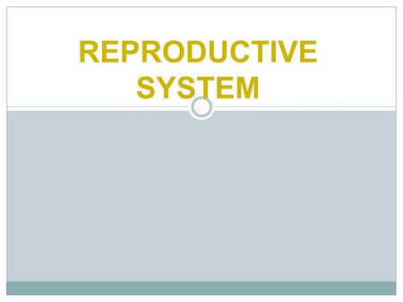 REPRODUCTIVE SYSTEM.