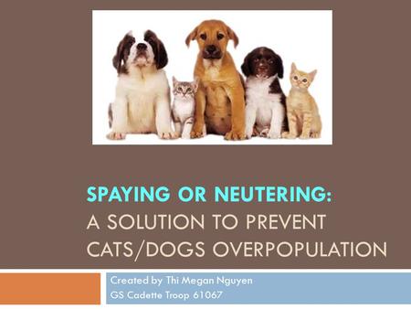 SPAYING OR NEUTERING: A SOLUTION TO PREVENT CATS/DOGS OVERPOPULATION Created by Thi Megan Nguyen GS Cadette Troop 61067.