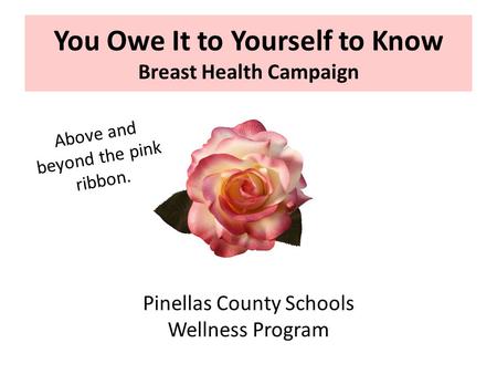 You Owe It to Yourself to Know Breast Health Campaign Pinellas County Schools Wellness Program Above and beyond the pink ribbon.
