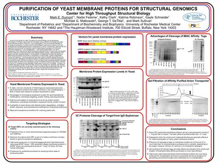 PURIFICATION OF YEAST MEMBRANE PROTEINS FOR STRUCTURAL GENOMICS Center for High Throughput Structural Biology Mark E. Dumont *†, Nadia Fedoriw *, Kathy.