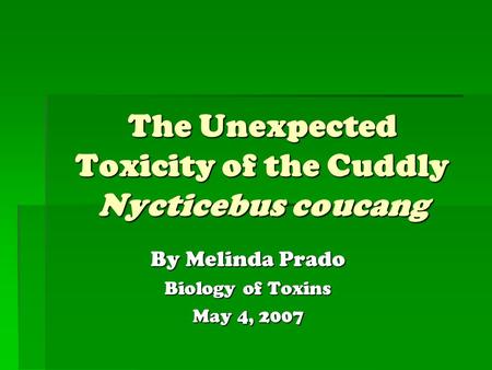 The Unexpected Toxicity of the Cuddly Nycticebus coucang By Melinda Prado Biology of Toxins May 4, 2007.