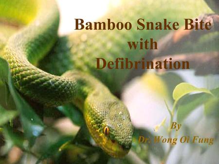 Bamboo Snake Bite with Defibrination